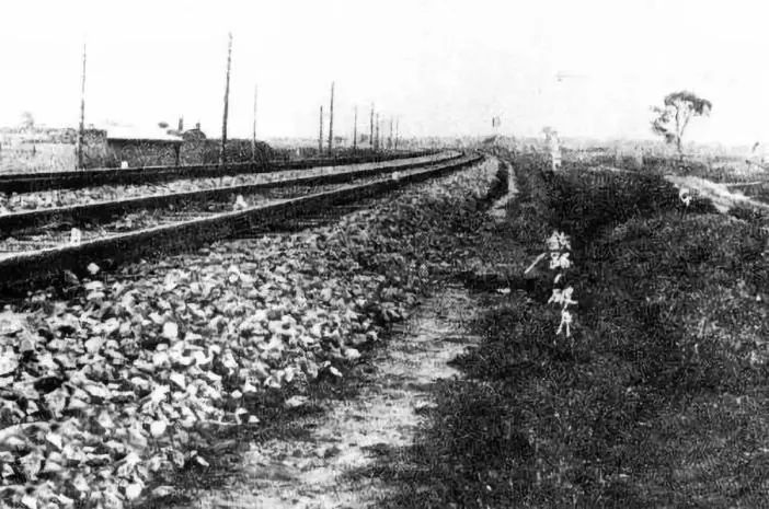 1600482159217378.jpg 006y3wLgly4giujmr7n81j30ji0cxmyy.jpg