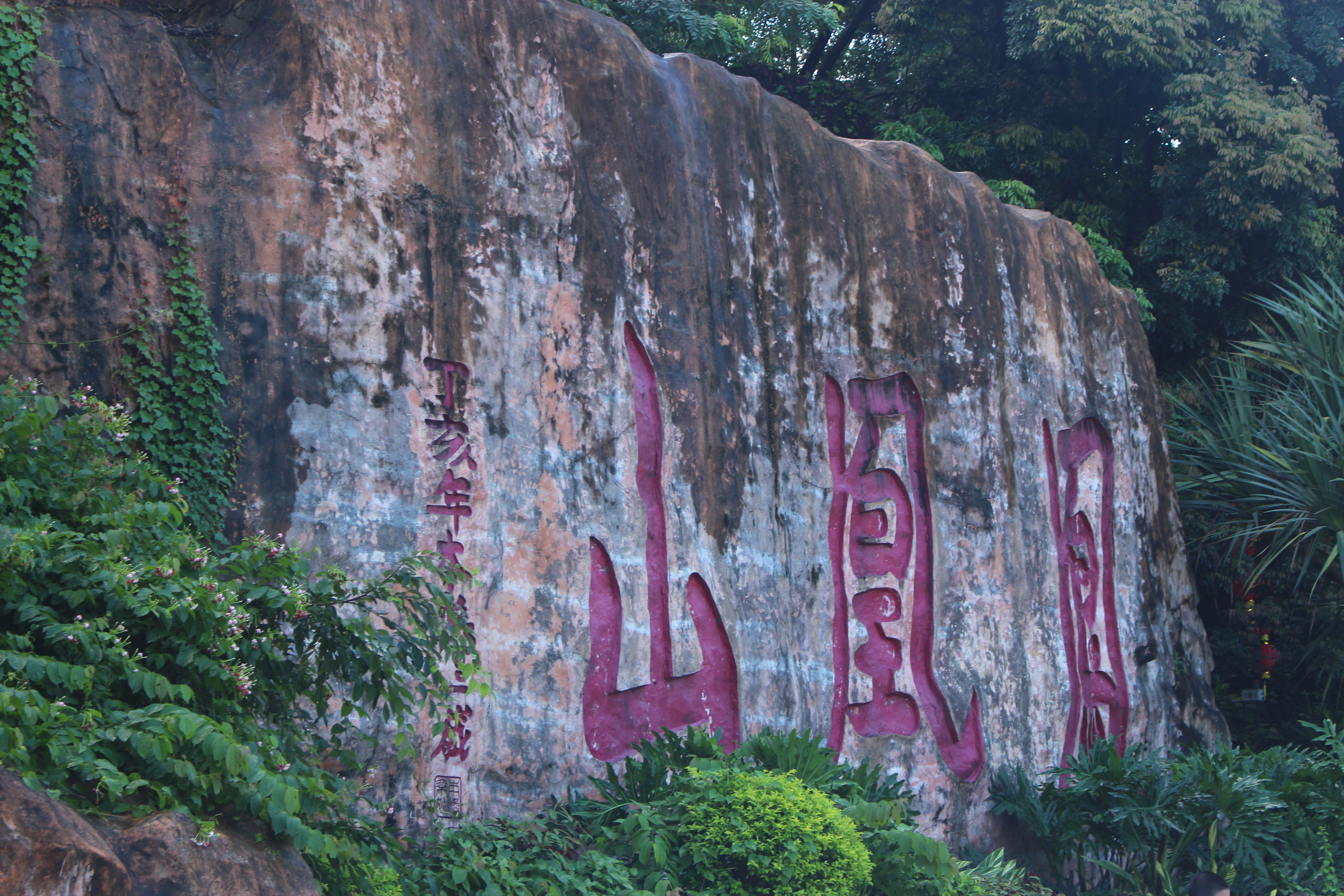 1600847307853783.jpg IMG_0723.JPG