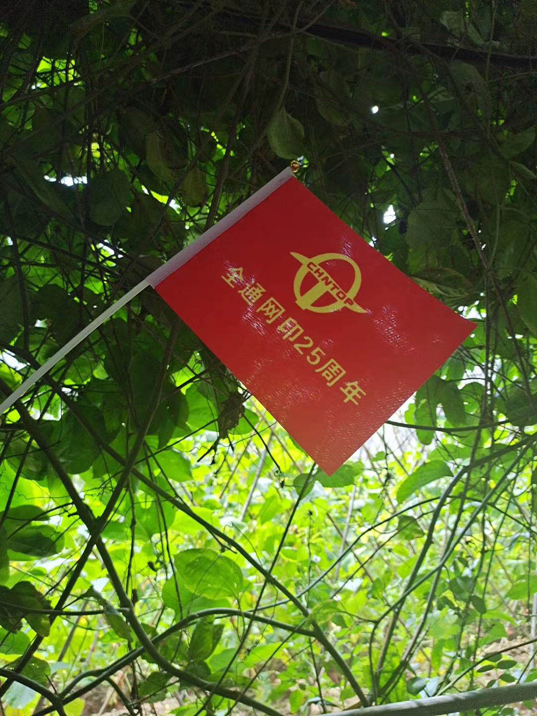 1600847390877177.jpg 29954d7d7c8c8eb5de694017fe83b20.jpg